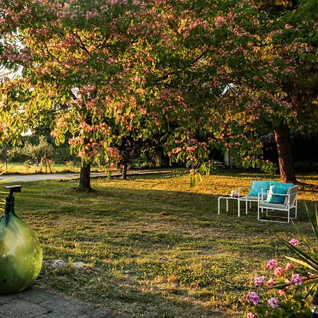 Guest house Casa Sophie