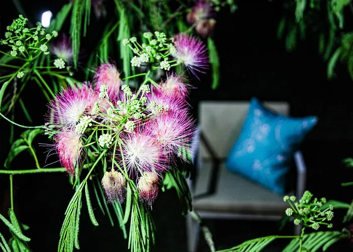 Casa Sophie Guest house Loreto