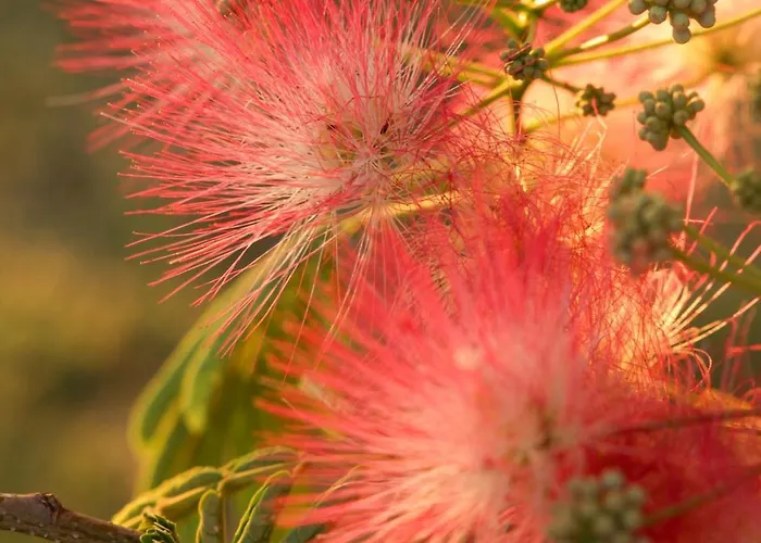 Casa Sophie Affittacamere Loreto