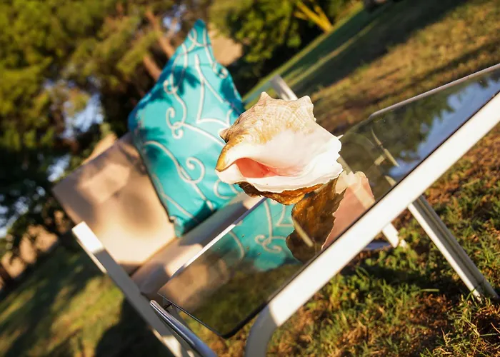 Guest house Casa Sophie 3*