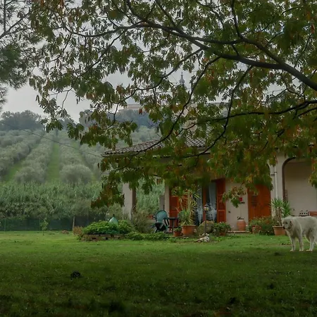 Casa Sophie Loreto