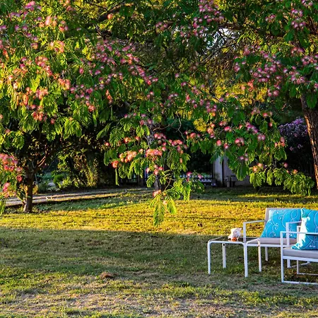 Casa Sophie Affittacamere *
