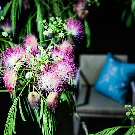 Casa Sophie ゲストハウス ロレート